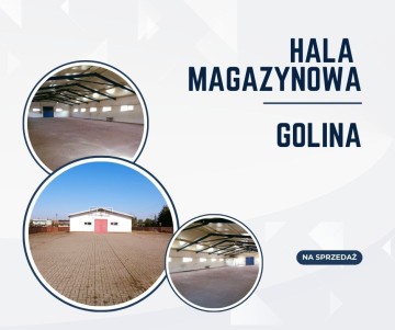 Golina &ndash; Hala Produkcyjno/Magazynowa