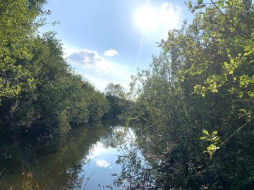 Posiadłość na sprzedaż Czarnybr&oacute;d gm. Grodziec