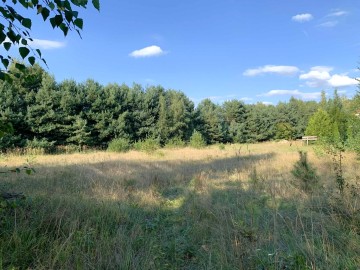 Posiadłość na sprzedaż Czarnybr&oacute;d gm. Grodziec