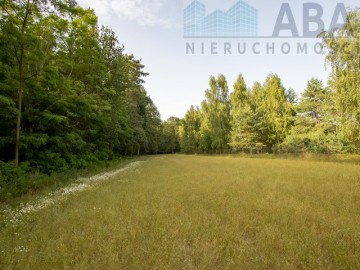 OKAZJA ! - działka Bielawy – obręb Sokółki