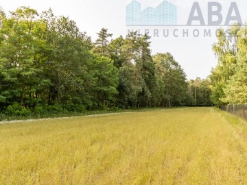 OKAZJA ! - działka Bielawy – obręb Sokółki