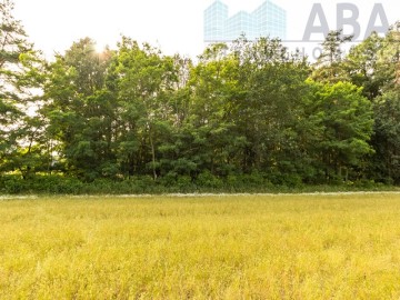 OKAZJA ! - działka Bielawy – obręb Sokółki