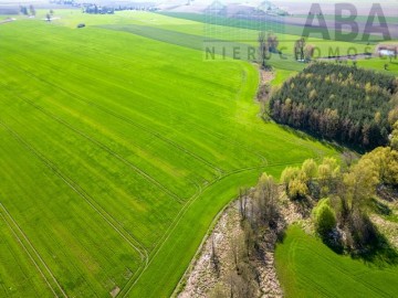 Działka przy stawie blisko lasu, gm. Kiszkowo