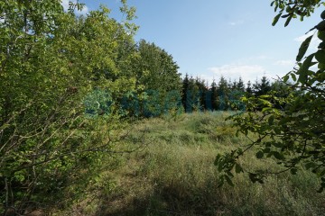 Sprzedam dom w centrum Ślesina + działka 2812m2