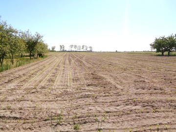 Gmina Wilczyn &ndash; Dom z gruntem rolnym 1,74 ha