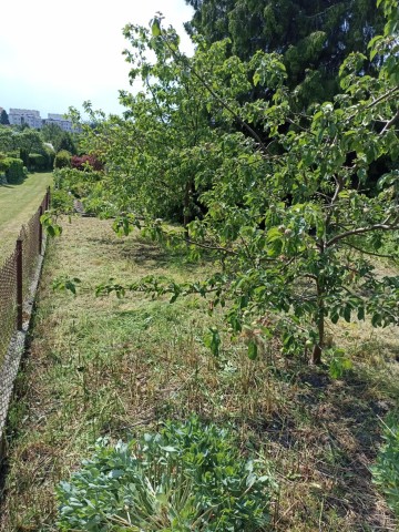 Sprzedam działkę ogrodową ROD Hutnik ul. Harcerska Konin