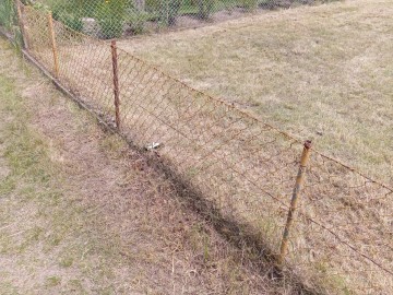 Koszenie kosa i kosiarką