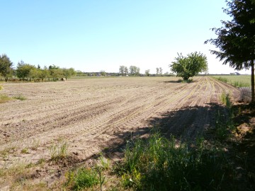 Gmina Wilczyn &ndash; Dom z gruntem rolnym 1,74 ha