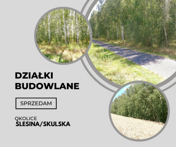 Okolice Ślesina/Skulska &ndash; Działki Budowlane