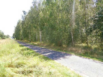 Okolice Ślesina/Skulska &ndash; Działki Budowlane