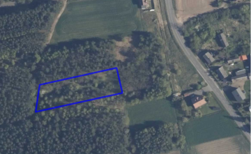 Sprzedam działkę budowlaną o pow. 3000 m2 wśr&oacute;d las&oacute;w