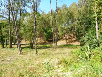 Działki Letniskowe - Jezioro Ślesińskie