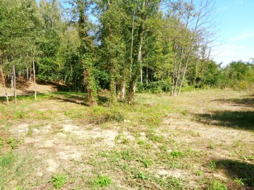 Działki Letniskowe - Jezioro Ślesińskie