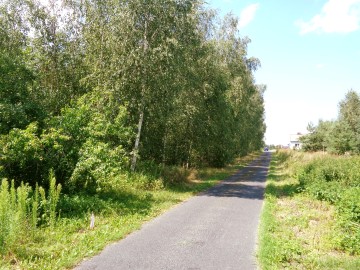 Okolice Ślesina/Skulska &ndash; Działki Budowlane