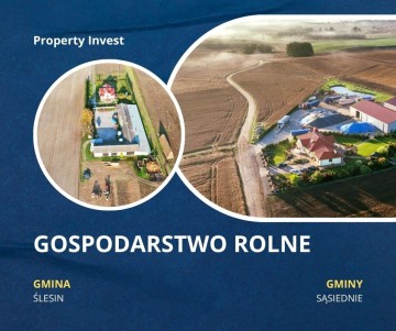 Ślesin - Kupię grunt rolny