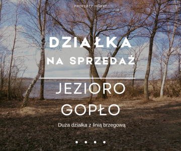 Jezioro Gopło &ndash; Działka z linią brzegową