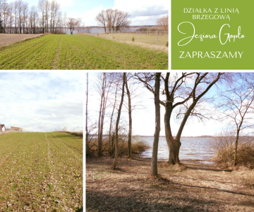 Jezioro Gopło &ndash; Działka z linią brzegową