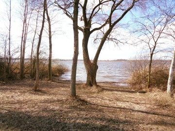 Jezioro Gopło – Działka z linią brzegową