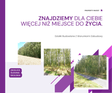 Okolice Ślesina/Skulska &ndash; Działki Budowlane