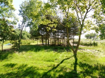 Gmina Wilczyn &ndash; Dom z gruntem rolnym 1,74 ha