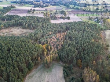 Działki rolne na sprzedaż - Myślib&oacute;rz, Kolno, gm. Golina