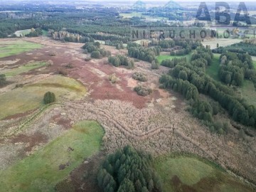 Działki rolne na sprzedaż - Myślib&oacute;rz, Kolno, gm. Golina