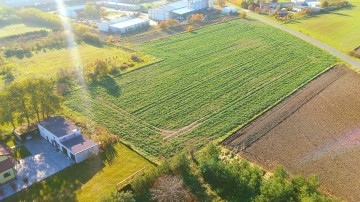 Grunt Rolny Okolice Ślesina