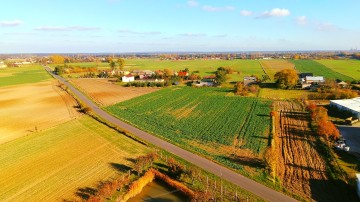 Grunt Rolny Okolice Ślesina