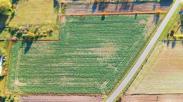 Grunt Rolny Okolice Ślesina