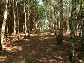 Posiadłość w Otulinie Lasu
