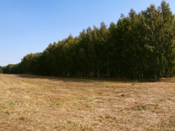 Posiadłość w Otulinie Lasu