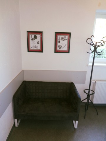 ŚLESIN &ndash; LOKAL USŁUGOWY NA WYNAJEM