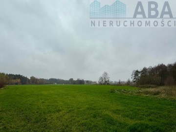 Wacławów gm. Lądek - działka inwestycyjna/ komercyjna