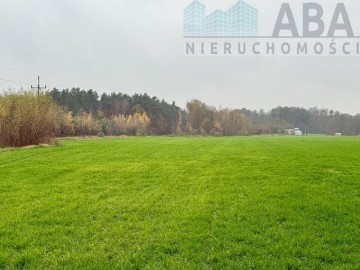 Wacławów gm. Lądek - działka inwestycyjna/ komercyjna