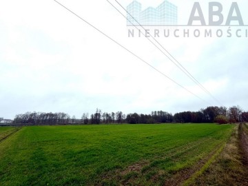 Wacławów gm. Lądek - działka inwestycyjna/ komercyjna