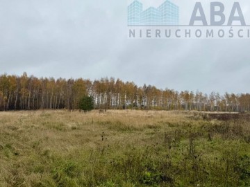 Wacławów gm. Lądek - działka inwestycyjna/ komercyjna