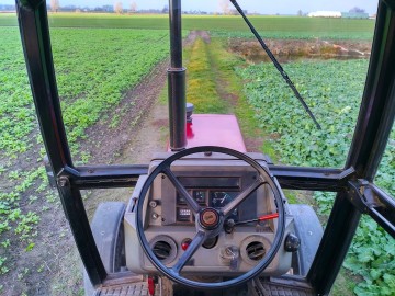 Case IH 1294 - SUPER stan & 70 KM - Film !