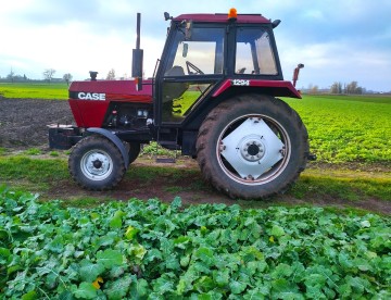 Case IH 1294 - SUPER stan & 70 KM - Film !
