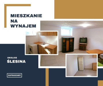 WYNAJMĘ MIESZKANIE &ndash; OKOLICE ŚLESINA