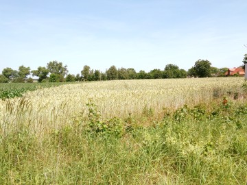 Gołuch&oacute;w &ndash; Dawny hotel z duszą i historią