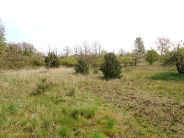 Sompolno – Duża Działka Budowlana