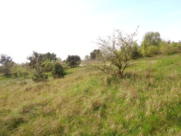 Sompolno – Duża Działka Budowlana