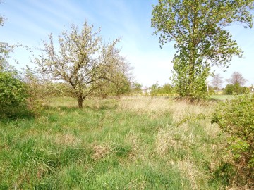 Sompolno – Duża Działka Budowlana