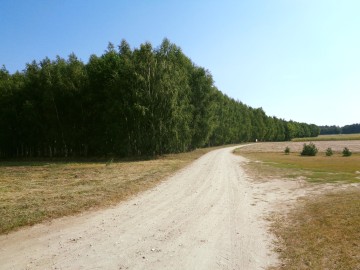 Posiadłość w Otulinie Lasu