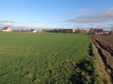 Działka Budowlana okolice Sompolna/Izbicy Kujawskiej