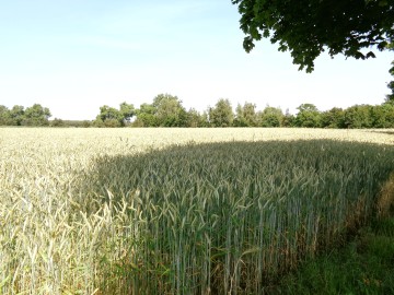 Gołuch&oacute;w &ndash; Dawny hotel z duszą i historią