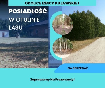 Posiadłość w Otulinie Lasu