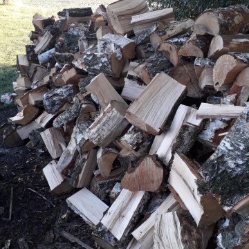 Sosna opałowa i drewno kominowe