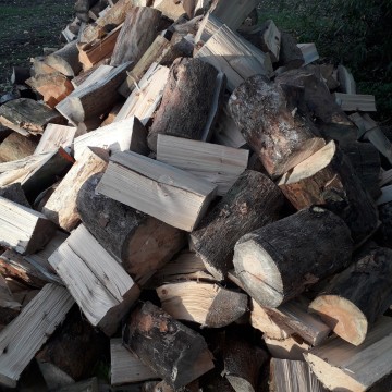 Sosna opałowa i drewno kominowe