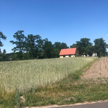 Gospodarstwo rolne 5,63 ha z domem w Tury na sprzedaż